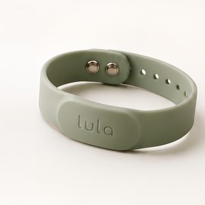 LulaBand