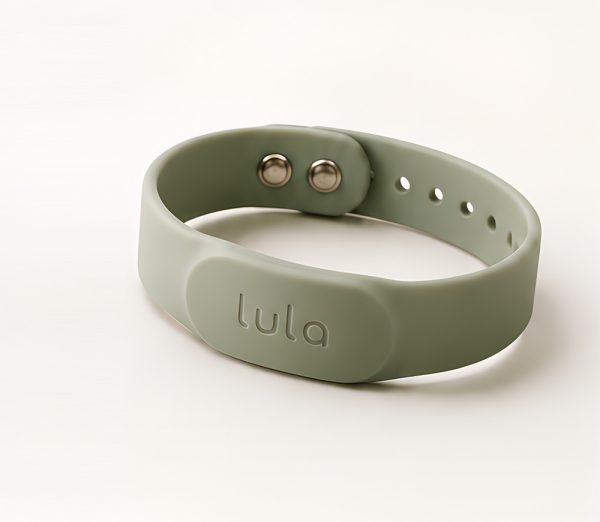 LulaBand