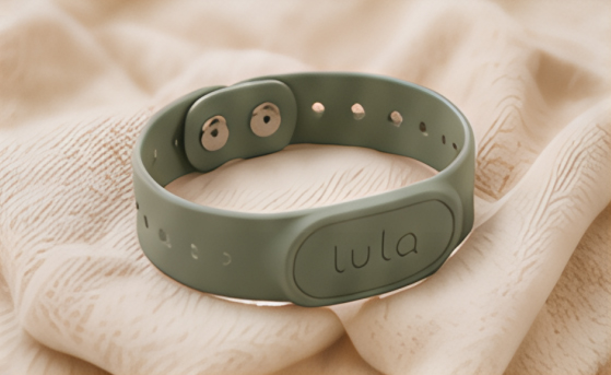 LulaBand values