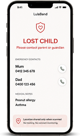 Lost Mode mobile interface