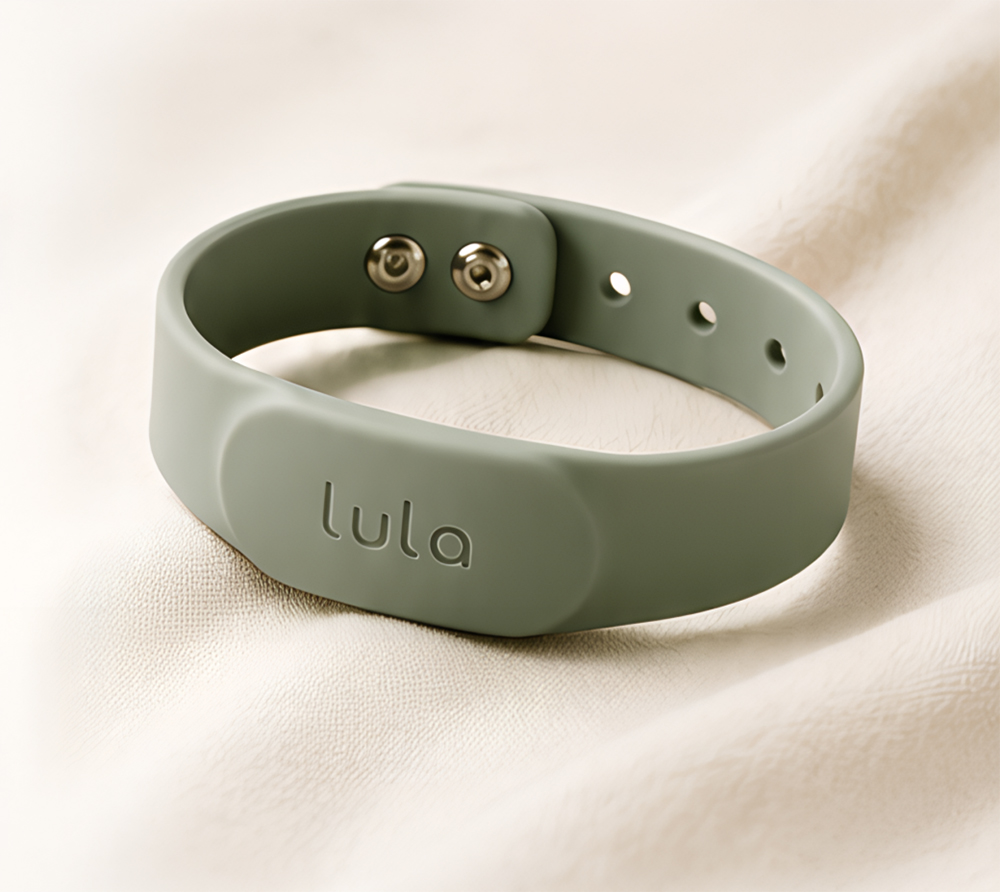 LulaBand